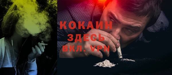 твердый Алзамай