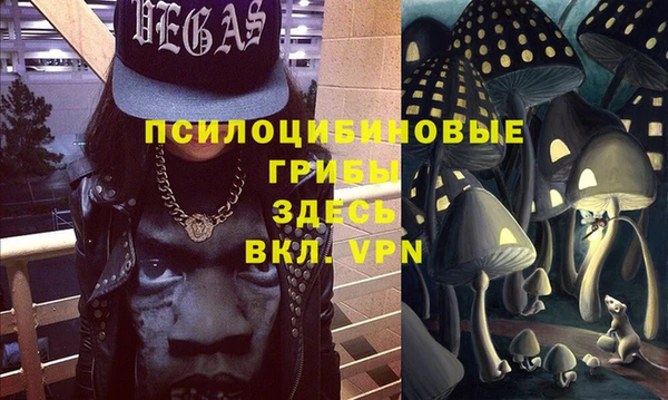 твердый Алзамай