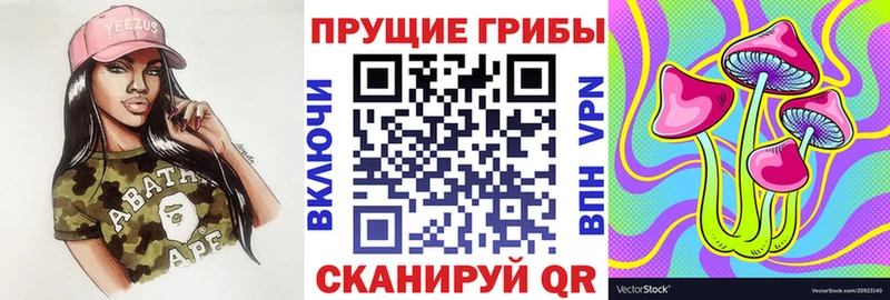 Галлюциногенные грибы Cubensis  Нерехта 